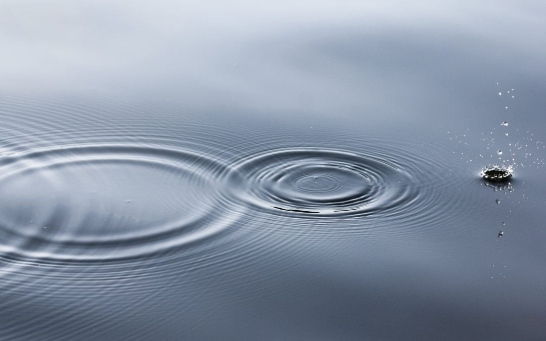 The Space Between Sentences